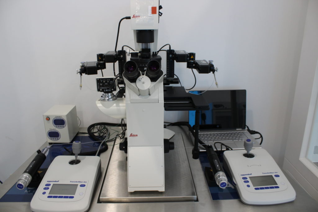 in vitro fertilization laboratory in Batumi